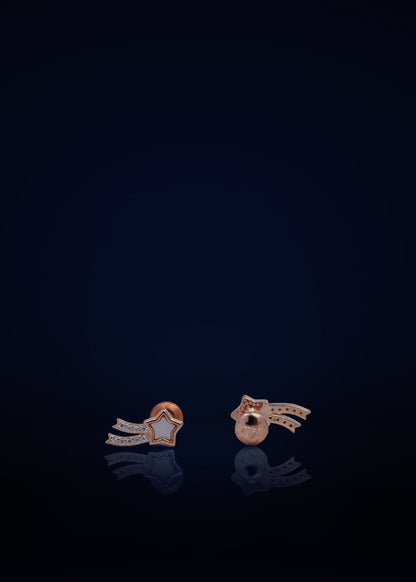 Classic Silver Screw Back Stud Earrings for Women