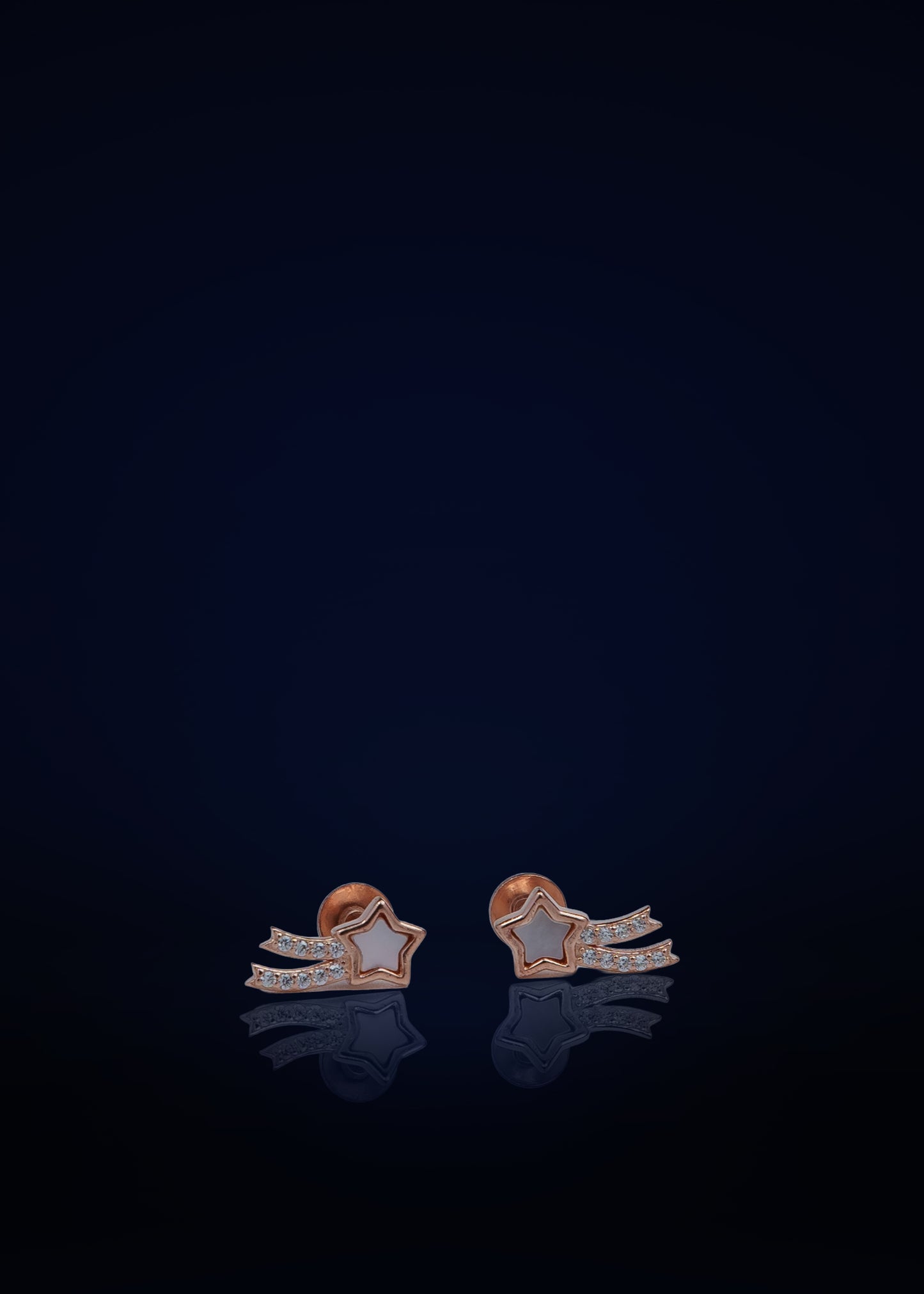 Classic Silver Screw Back Stud Earrings for Women