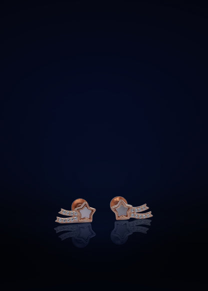 Classic Silver Screw Back Stud Earrings for Women